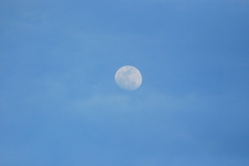 Enlarge photo 144