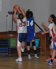 Enlarge photo 46