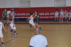 Enlarge photo 239
