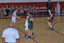 Enlarge photo 248