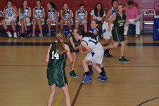 Enlarge photo 301