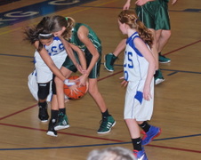Enlarge photo 319