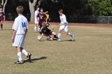 Enlarge photo 14