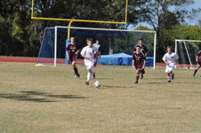 Enlarge photo 48