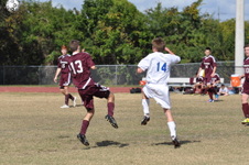 Enlarge photo 65