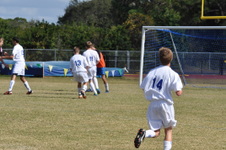 Enlarge photo 94