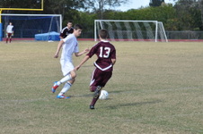 Enlarge photo 113