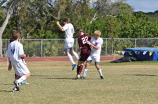 Enlarge photo 133