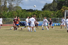 Enlarge photo 139