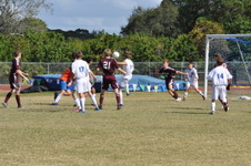Enlarge photo 141