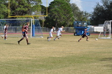 Enlarge photo 152