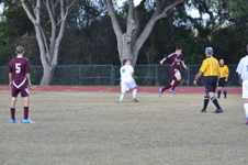 Enlarge photo 183