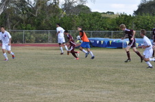 Enlarge photo 210