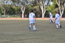 Enlarge photo 231