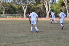 Enlarge photo 232