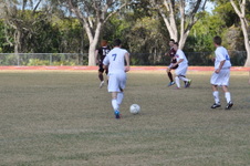 Enlarge photo 233
