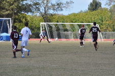 Enlarge photo 238