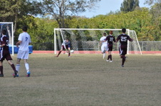 Enlarge photo 239