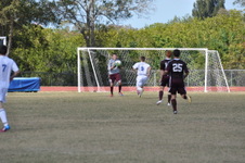 Enlarge photo 241
