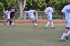 Enlarge photo 242