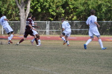 Enlarge photo 244