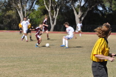 Enlarge photo 322