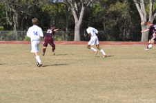 Enlarge photo 337