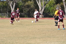 Enlarge photo 339