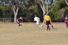 Enlarge photo 342