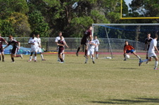 Enlarge photo 390
