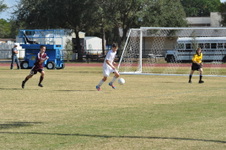 Enlarge photo 396