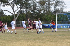 Enlarge photo 491
