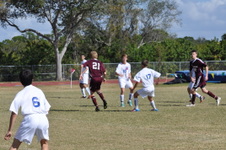Enlarge photo 838