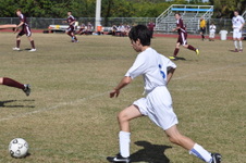 Enlarge photo 866
