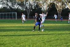 Enlarge photo 85