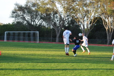 Enlarge photo 98