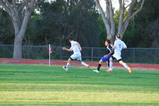 Enlarge photo 105