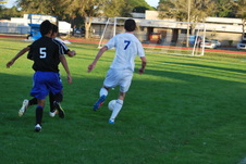 Enlarge photo 121