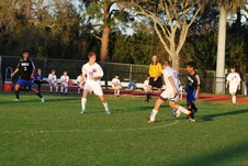 Enlarge photo 153