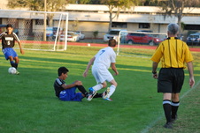 Enlarge photo 170