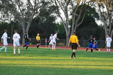 Enlarge photo 186