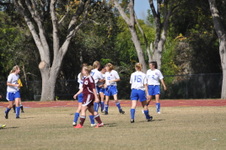 Enlarge photo 41