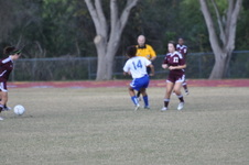 Enlarge photo 52