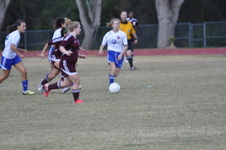 Enlarge photo 54