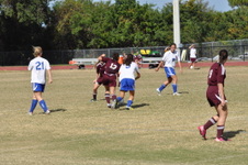 Enlarge photo 103