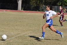Enlarge photo 119