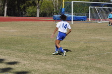 Enlarge photo 127