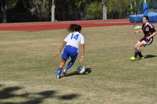 Enlarge photo 129