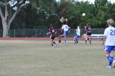 Enlarge photo 137