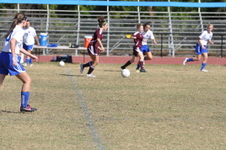 Enlarge photo 174